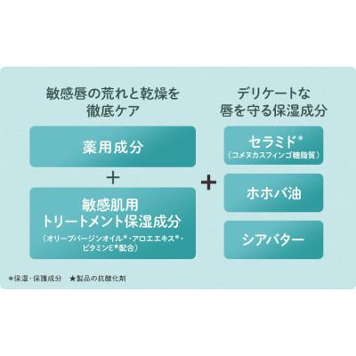 ふるさと納税 茂原市 DHC薬用リップクリーム センシティブ(医薬部外品)　5個セット |  | 01
