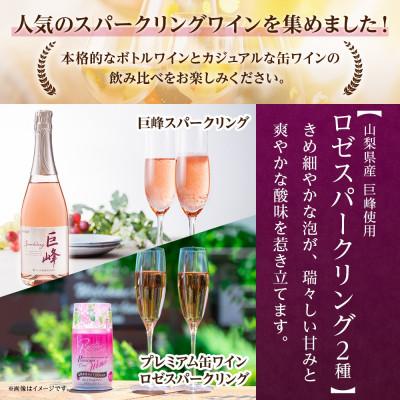 ふるさと納税 笛吹市 スパークリングワイン 5種 飲み比べ ボトルワイン1本・缶ワイン4種8本 山梨県 笛吹市 |  | 01