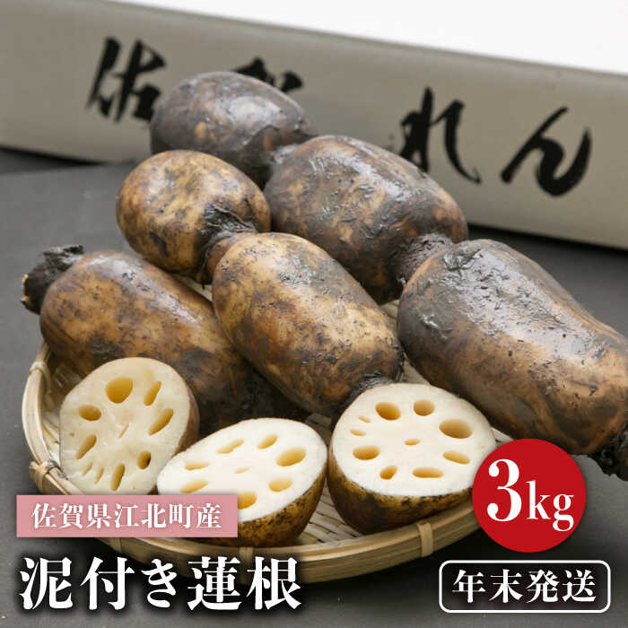 【ふるさと納税】【年末発送 ※12月25日〜27日発送】＜地元江北町産＞泥付き蓮根 3kg 【百武青果】 [HAE015] / 年内発送 蓮根 れんこん レンコン 泥付き 野菜 年末発送 白石蓮根 泥つき蓮根 佐賀県 佐賀 九州 送料無料 12000 12000円
