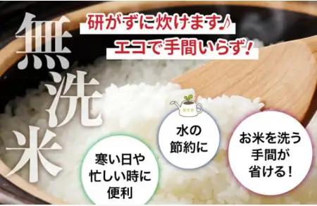 令和7年産　無洗米宮城県産ひとめぼれ 10kg 無洗