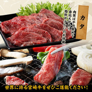 宮崎牛 焼肉 食べ比べ 3種盛 300g【 肉 牛肉 国産 宮崎県産 黒毛和牛 和牛 焼肉 バーベキュー 】