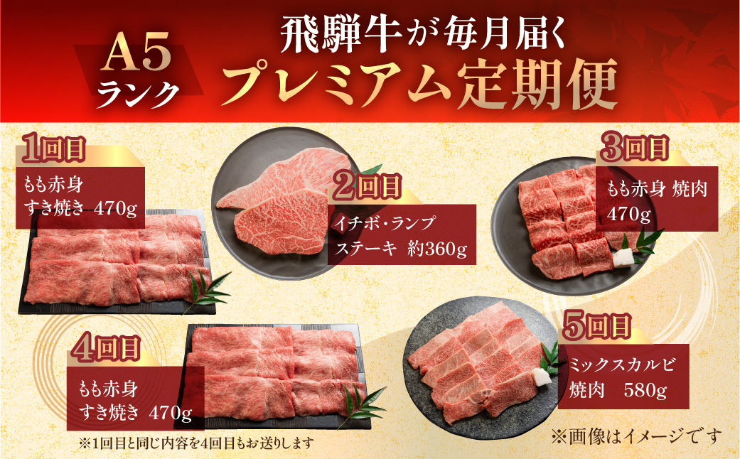 【定期便5回】A5 飛騨牛 天狗 牛肉 (ステーキ / すき焼き / 焼肉 / サーロイン /イチボ ランプ /カルビ ) お楽しみ 肉 定期便 下呂温泉 おすすめ 赤身 霜降り 希少部位【11-N】