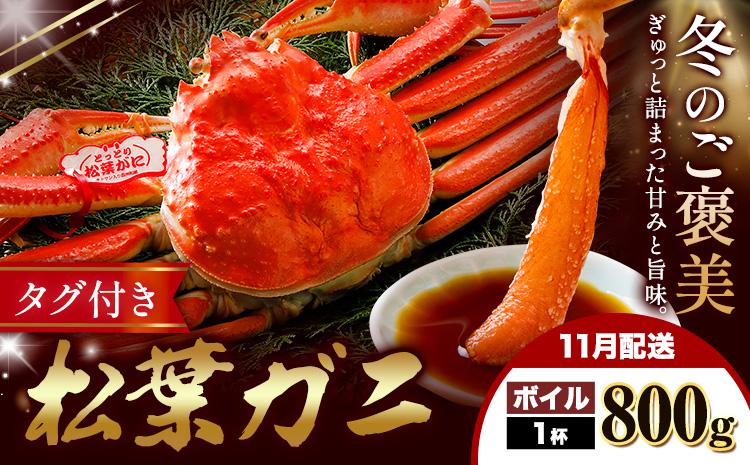 【ふるさと納税】カニ 松葉ガニ 800g  ボイル 1杯 《11月発送》 SOO合同会社 鳥取県 八頭町 送料無料  蟹 かに 姿 鍋 ズワイガニ  ズワイ蟹 ボイル 松葉ガニ