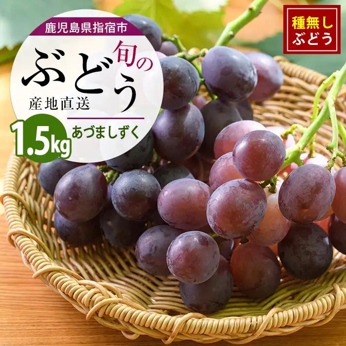 【2026年7月上旬〜発送】＜期間限定＞迫田果樹園のぶどう あづましずく 約1.5kg (迫田果樹園/IB064-010)