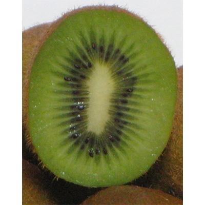 ふるさと納税 三豊市 曽根農園のヘイワードキウイ(3kg　24〜33玉入り) |  | 01