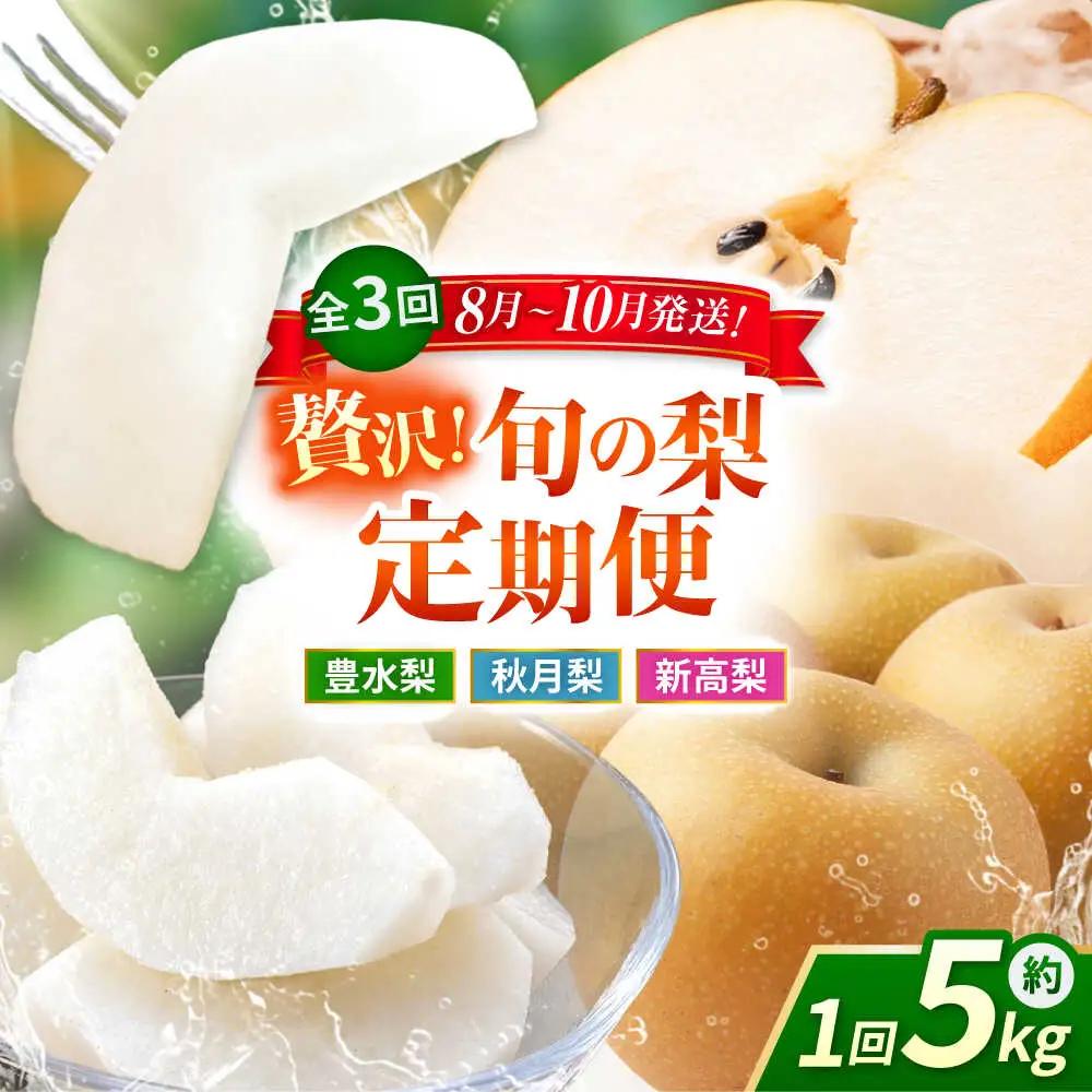 【先行予約】【3回定期便】 梨 約5kg 計約15kg（豊水・秋月・新高）  梨 ナシ フルーツ 果物 【日本フルーツ株式会社】 [ZFJ024]