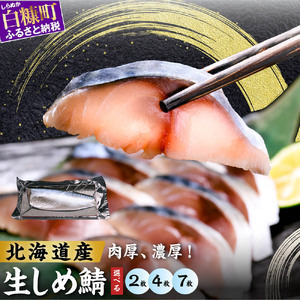 北海道産 しめ鯖 2枚 （お試し小サイズ） 料亭で味わうまるで「生」のようなしめ鯖をご自宅で。ふるさと納税 北海道 魚 海鮮 しめ鯖 〆鯖 シメサバ しめさば ふるさと納税 魚 北海道 〆鯖 しめさば シメサバ 〆サバ ふるさと 鯖 小分け おつまみ 酒の肴 日本酒 酒 魚介 海鮮 冷凍 国産 人気 訳あり 白糠町_A005-1416
