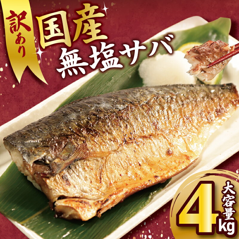 【ふるさと納税】 訳あり 国産 無塩 サバ 4kg 国産 天然 無塩 フィーレ 冷凍 千葉県 銚子市※着日指定不可