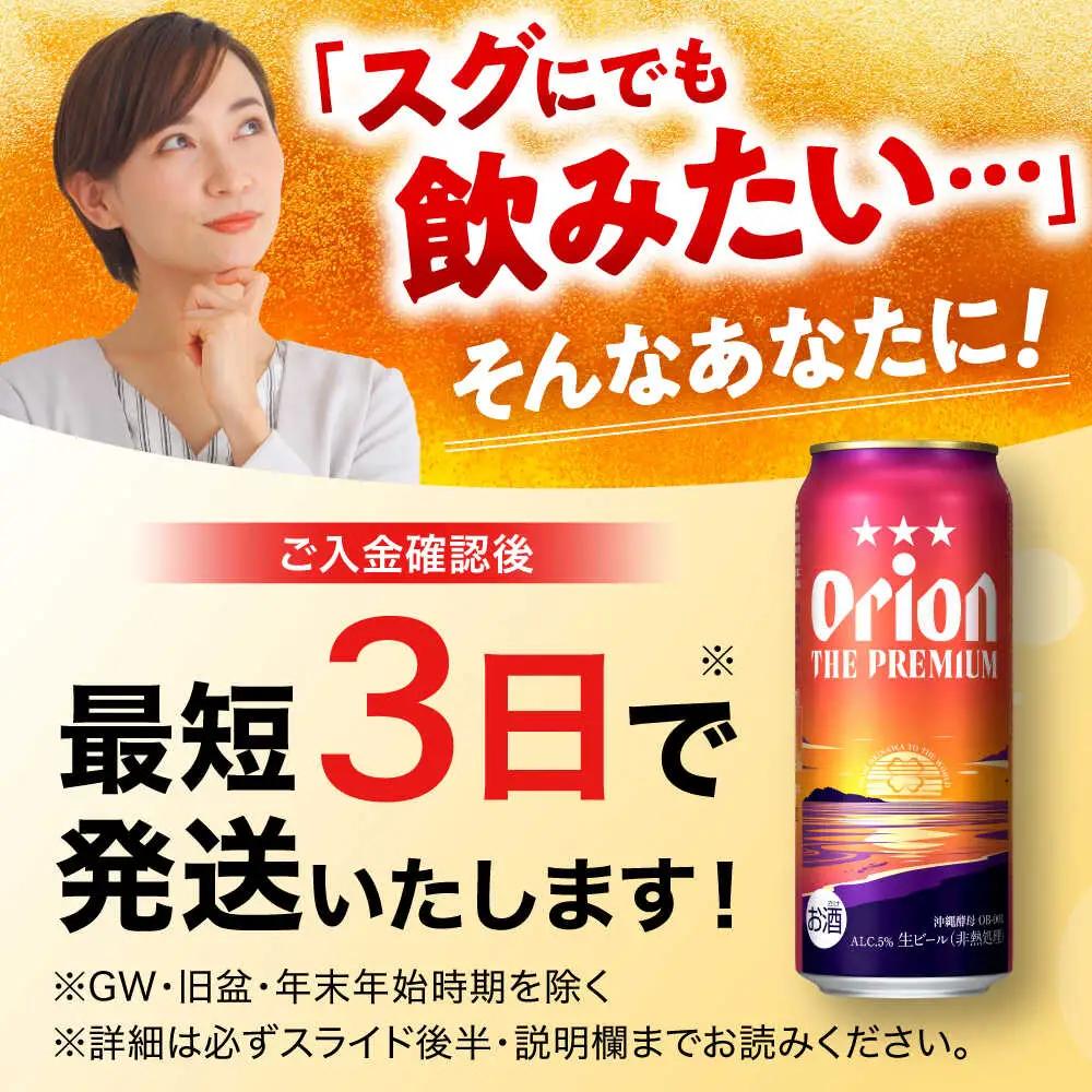 オリオンビール ザ・プレミアム 500ml×24本 BCDD005 ビール