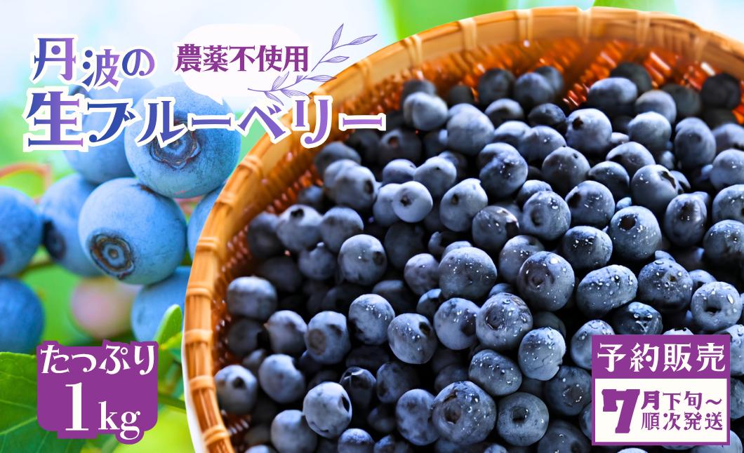 
                  【7月下旬発送】数量限定！無農薬〈丹波産ブルーベリー〉生果実たっぷり1kg ひょうご安心ブランド 兵庫県丹波市 ふるさと納税 ブルーベリー 果物 フルーツ 生果実
                