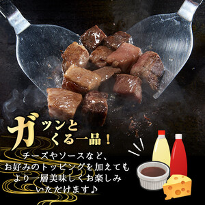 鹿児島県産A5等級黒毛和牛ヒレサイコロステーキ (計600g) 黒毛和牛 冷凍 サイコロステーキ【KNOT】 A628