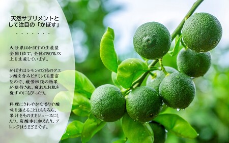 2473R_【先行予約】【訳あり】【選べる容量】農家直送！竹中農園 かぼす 約2kg