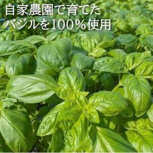 濃厚・無添加　バジルソース(ジェノベーゼソース)　瓶　100g×7本【配送不可地域：離島】【1493641】