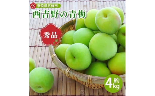 【厳選】西吉野の青梅（南高梅）約４ｋｇ（秀品）