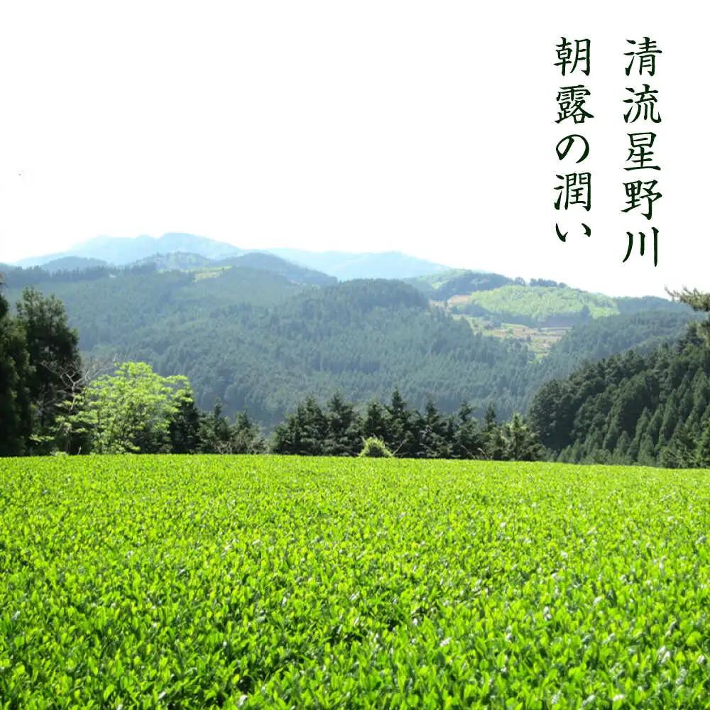 八女茶 深蒸し高級 100g×1袋[BGAF012] お茶 八女茶