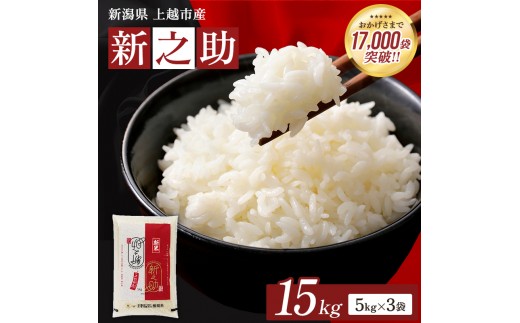 【1月下旬配送】令和8年産 上越市産 新潟 新之助 15kg しんのすけ お米 精米 米 ご飯 大黒屋商店