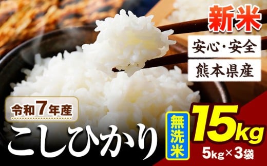 令和7年産 新米 こしひかり 15kg 《10月中旬-12月末頃出荷-》令和7年産 熊本県産 ふるさと納税 新米 無洗米 ひの 米 こめ ふるさとのうぜい コシヒカリ コメ お米 おこめ