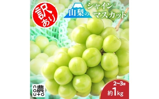 ＜25年発送先行予約＞【訳あり】 シャインマスカット 2～3房 約1kg 154-027 | 不揃い ご自宅用 ご家庭用 フルーツ 果物 高評価 人気 ランキング おすすめ 甘い 美味しい デザート 数量限定 送料無料 山梨県産 笛吹市 ぶどう 「販売」 KEIPE株式会社