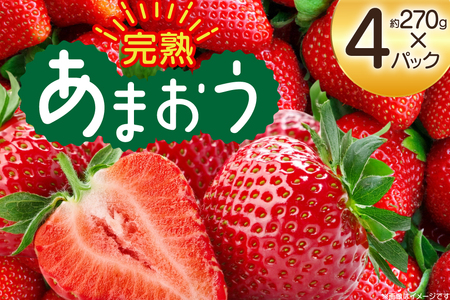 【期間限定発送】 いちご 完熟 あまおう 約270g 4p [mhshops 福岡県 筑紫野市 21761028]