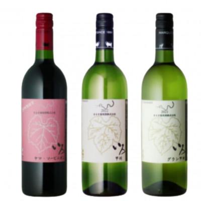 ふるさと納税 甲州市 まるき【いろシリーズ】計3本 いろヤマ・ソービニオン いろ甲州 いろグラン甲州 C-1661