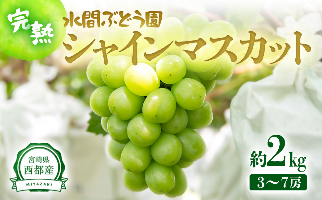 西都産シャインマスカット 2kg（3～7房）完熟ぶどう 水間ぶどう園《先行予約・2026年発送》＜16-1a＞ぶどう 葡萄 フルーツ 果物