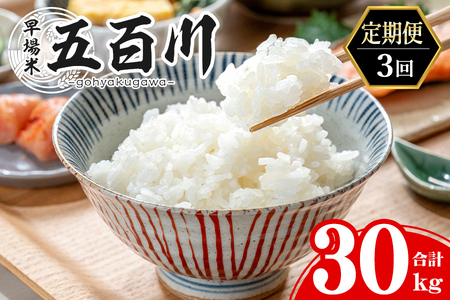 【令和8年産】＜先行予約受付中！R8年9月上旬から発送開始予定＞＜3か月定期便＞ 五百川 合計30kg (10kg×3回) お米 おこめ 米 コメ 白米 早場米 極早生品種 ご飯 ごはん おにぎり お弁当 頒布会【赤間農業開発株式会社】ta462
