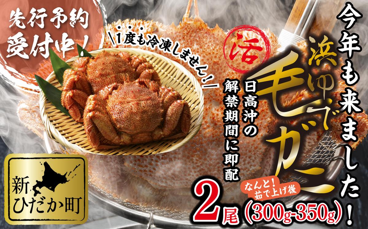 北海道産 かに 浜ゆで 毛がに 2尾 計 600g 以上 ＜2026年2月中旬から順次発送＞ 毛蟹 毛ガニ 北海道 冷蔵 毛蟹 毛ガニ けがに かに 蟹 カニ かに味噌 カニ味噌 新鮮 旬 ボイル 浜茹で 海鮮 海産物 新鮮 旬 魚介 蟹味噌 みそ 新ひだか町