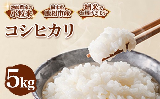 
                  【令和7年度産】 コシヒカリ 5kg ＜小粒米＞ 米 コシヒカリ お米 こめ コメ おこめ こしひかり 精米 精白米 白米 ５キロ 栃木県産コシヒカリ 栃木コシヒカリ 鹿沼市産コシヒカリ 鹿沼産こしひかり ご飯 ごはん 白飯 国産米 単一原料米 産地直送 栃木 鹿沼 ※ kome 米5kg コシヒカリ5kg ブランド米 令和７年度産コシヒカリ とちぎこしひかり
                