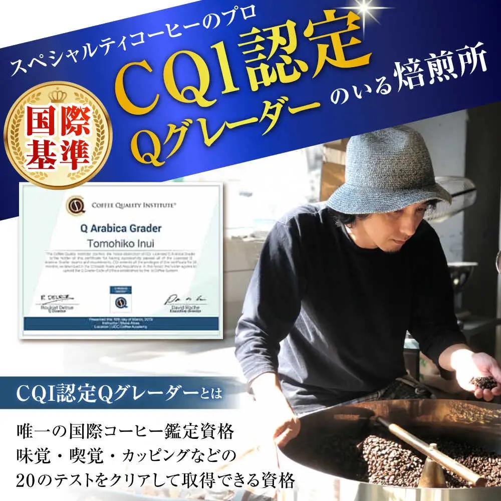 【全3回定期便】 ドリップバッグセット 12個 ＜スペシャルティコーヒー＞ 【イヌイットコーヒーロースター】[ASAB010]