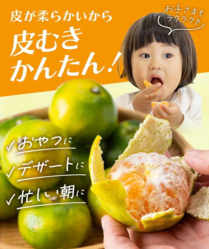 早生みかん 約5kg 農園誉 みかん