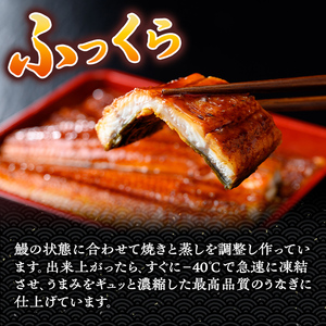 【C57006】特大うなぎ蒲焼(有頭)(5尾・計925g以上、タレ、山椒付) 鹿児島 国産 九州産 大隅産 鰻 うなぎ ウナギ 蒲焼き うな重 うな丼 ひつまぶし 丑の日 土用の丑の日 化粧箱 贈答 