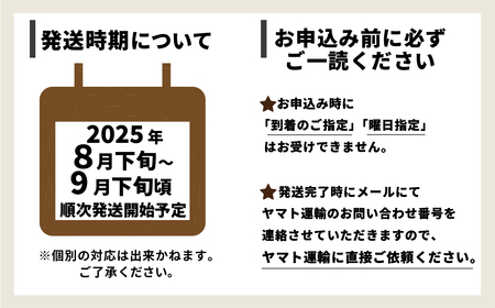 シャインマスカット1房（700g以上）【石崎ぶどう園】（2024年8月下旬から9月下旬頃発送予定）