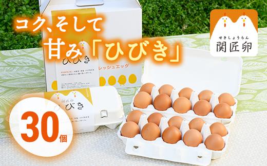 関匠卵 ひびき30個_CP01◇　※北海道・沖縄・離島への配送不可