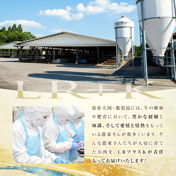 鹿児島県産 豚モモスライス&カタ薄切り 各250g×8Pずつ 計4kg 肉 豚肉 モモ スライス 薄切り セット 食べ比べ モモスライス 豚モモ 豚カタ 冷凍 国産 野菜炒め 生姜焼き 小分け 鹿児島 a7-038