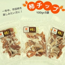 市田柿 柿チップ(100g×3袋)TS06-23A