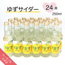 【ふるさと納税】【カーミンも大好き】ゆずサイダー 250ml×24本【1329933】