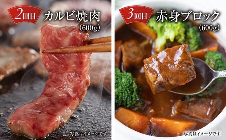 【定期便】飛騨牛（全３回）（ステーキ /焼肉 / ブロック[塊] ) 計1.6kg 全3回  | 焼肉 ステーキ 牛肉定期 【飛騨高山ミート MZ101】〔和牛定期便 　肉定期便　飛騨牛定期便　３回〕