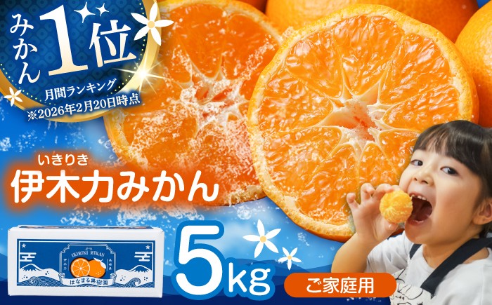
                  ※【2026年10月下旬より順次発送／先行予約】伊木力みかん(家庭用) 5kg / みかん ミカン 蜜柑 オレンジ フルーツ ふるーつ 果物 くだもの いきりき / 諫早市 / 山野果樹園 [AHCF002] 10000 1万円 チョイス限定
                