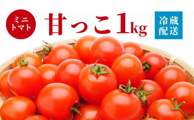 北海道伊達産 ミニトマト 甘っこ 1kg とまと 甘い 野菜 やさい 人気 新鮮 産地直送 農家直送 先行受付_イメージ5