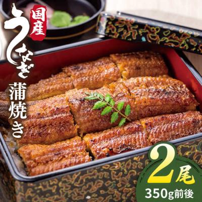 ふるさと納税 糸島市 北ノ屋 (梅) うなぎ 蒲焼き 2尾セット 北ノ屋うなぎ [ACL003] 鰻 かばやき