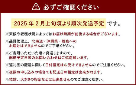 ティッシュボックス用 特別仕様の桐箱入り プレミアム あまおう 約400g×1パック【ギフト・お祝い・贈答用】【2025年2月上旬～4月上旬発送予定】