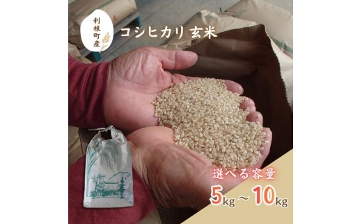 
                  利根町産　コシヒカリ　玄米　5～10kg ／ 米 こめ コメ お米 おこめ コシヒカリ こしひかり 令和7年産 新米 玄米 ごはん ご飯 5kg  10kg 健康志向 茨城県 利根町 産地直送 送料無料
                