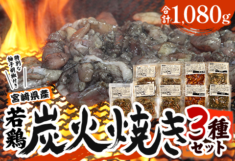 宮崎「宮崎肉魚青木」県産 若鶏 炭火焼き 3種 1.08kg（120g×9袋：しお5みそ2辛みそ2）
