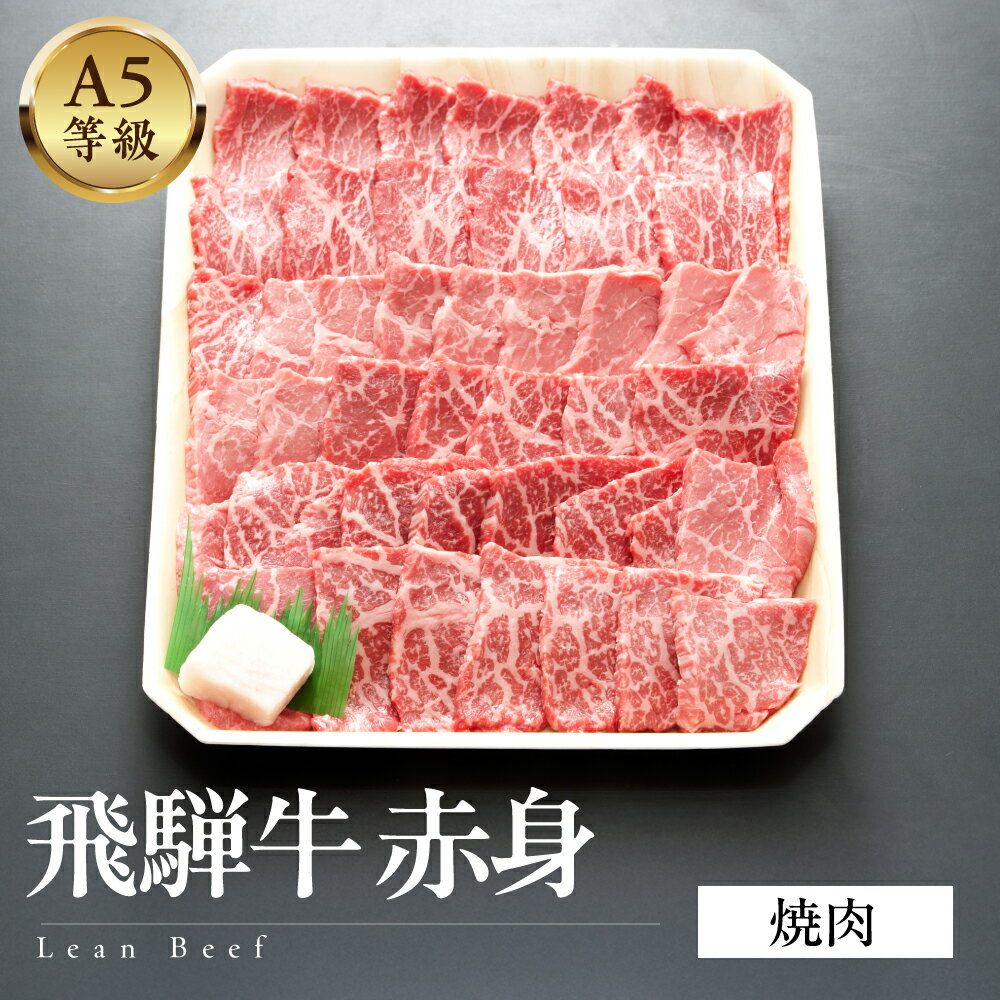 【ふるさと納税】 A5等級飛騨牛 赤身 焼肉 1kg/ 500g/ 300g
