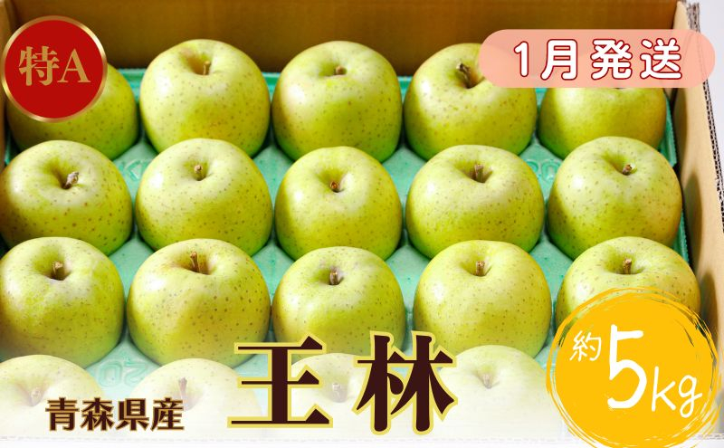 
【1月発送】特A 王林約5kg 【青森りんご・マルコウアップル】
