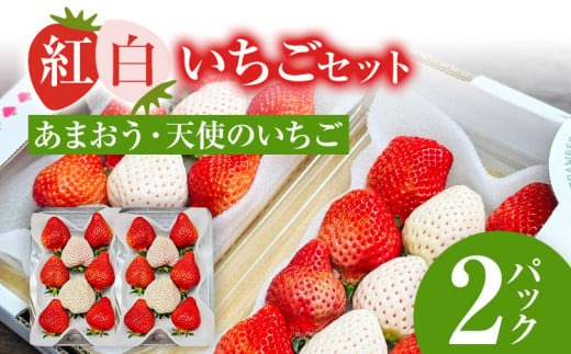 紅白いちごセット（あまおうと天使のいちご）いちご フルーツ 果物 あまおう 天使のいちご 白いちご 2パック 1パック約250g～270g 食べ比べ 福岡 苺 イチゴ 紅白【2025年2月～2025年4月中旬頃発送予定】