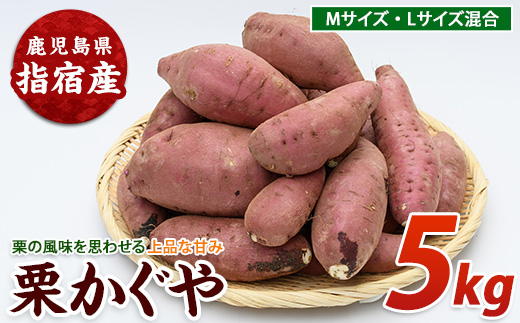 【2026年11月上旬以降～順次発送】らくと農園の栗かぐや約5kg(らくと農園/IB084-003) さつまいも おやつ さつま芋 焼芋 やきいも 焼きいも スイーツ