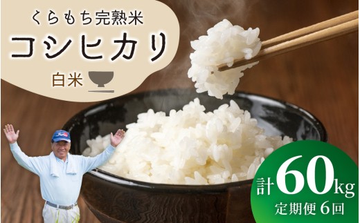 【先行予約】【令和8年産 新米】【6ヶ月定期便】くらもち完熟米 コシヒカリ （白米）10kg（5kg×2袋）×6回　計60kg｜コシヒカリ こしひかり 米  定期便 白米 精米 国産 ごはん ご飯 白飯 国産米 完熟 熟成 送料無料 産地直送 農家直送 福井県 高浜町
