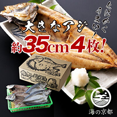 【ふるさと納税】大きな大きなアジ一夜干し (大：35cm程) 魚貝類 魚 一夜干し あじ アジ 鯵 大きめ 肴 海鮮 干物 ひもの セット 日本酒 myz02 myz11 myz17
