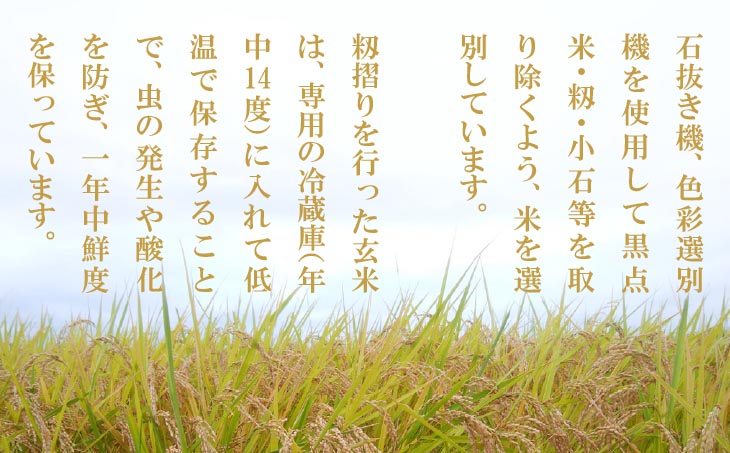 令和8年産米　淡路島産コシヒカリ　玄米20㎏